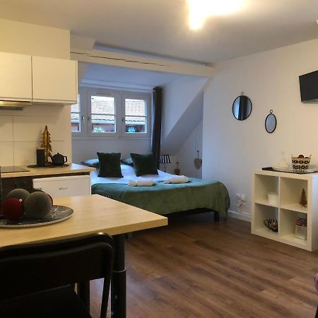 Coquet Studio Colmar Centre المظهر الخارجي الصورة