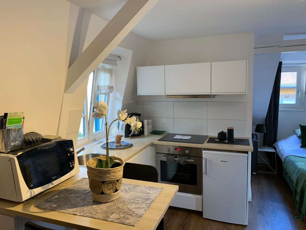 Coquet Studio Colmar Centre المظهر الخارجي الصورة